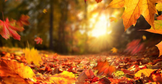 What is the Association of Fall/Autumn with Chinese Medicine?