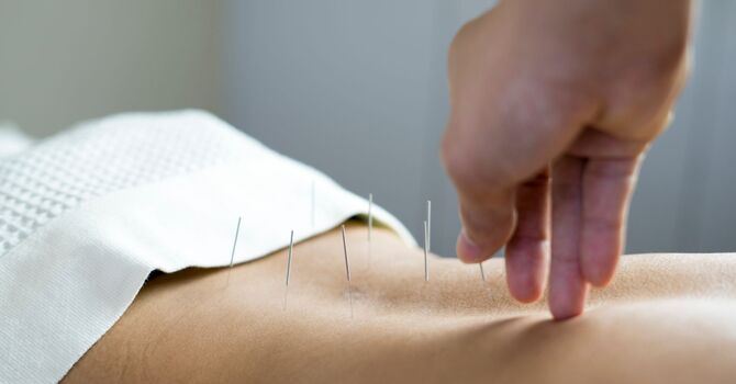 Wellness Services